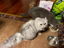 冠邦猫粮 深海鱼蛋粉全阶段成幼全期猫粮 通用型猫粮 猫全期 冠邦猫粮1.5kg 实拍图