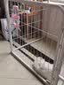 hoopet狗狗喝水器挂式水壶水瓶水嘴喂水神器小狗猫咪宠物用品悬挂式不湿 圆形宠物饮水器473ml(粉） 实拍图
