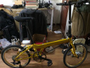 DAHON大行折叠自行车20寸11速轻量铝合金运动单车30周年纪念版KAA014 金色-Jaw hinge接头版 晒单实拍图