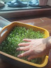 寿禾 芽菜种子萝卜四季秋冬季四季无土水培蔬菜豌豆芽 麻豌豆芽苗菜种子 300g 实拍图