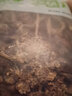 派绅 茶树菇250g山珍菌菇食用菌干货炖汤煲汤火锅食材 实拍图