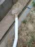 名磊 充电水泵潜水泵便捷式高扬程水泵大流量直流潜水泵电车抽水机 2寸48-60V500W10米线 实拍图