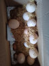 白荡里农家散养土鸡蛋正宗新鲜营养柴鸡蛋草鸡蛋笨鸡蛋特产单枚40g-45g 20枚试吃装 实拍图