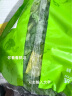 京觅优选 芝麻菜 沙拉 轻食 健身 生食 250g 京东植物工厂水培蔬菜 晒单实拍图
