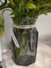 盛世泰堡 北欧玻璃花瓶透明小花瓶干花满天星仿真花水培植物容器插花瓶客厅新年装饰摆件 折纸灰18cm 实拍图