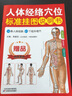 人体经络穴位标准挂图贴图88*58厘米 人体十二经络穴位图大挂图 男性穴位图解使用图册 人体经络图共3张送解说册88*58厘米 实拍图