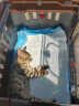 爱丽思（IRIS）便携车载航空箱猫包 猫咪背包外出便携旅行包 茶色 实拍图