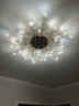 灯强 北欧风格灯具LED主卧室灯轻奢客厅大灯温馨浪漫花朵水晶吸顶灯 金色-36头-直径100cm三色变光 实拍图