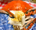 【活鲜】喵和渔梭子蟹公蟹鲜活大螃蟹飞蟹 肉蟹海鲜鲜活蟹类 4-5两/1只 肉蟹 实拍图
