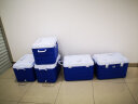 ICERS（艾森斯）PU保温箱 60L药品胰岛素医用冷藏箱UN2814 车载户外冰箱  温度显示款 配10冰袋 晒单实拍图