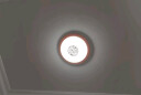 正前现代简约新中式吸顶灯客厅卧室餐厅灯套餐黄花梨木色实木led灯具 阳台灯-直径18CM单色白光 实拍图