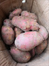 云南高山红皮土豆新鲜富硒黄心小洋芋农家老品种大马铃薯批发6 大果9斤【比鹅蛋大】 实拍图