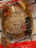 鑫炳记太谷饼 核桃仁/红枣味/原味早餐饼山西特产太古饼新鲜生产 红枣味太谷饼2100g(整箱) 晒单实拍图