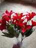 花艺赫家饰仿真花百合高枝装饰花假花绢花客厅摆设餐桌高档花艺干花花束摆件 40cm7头红色绢布百合花【5支】 实拍图