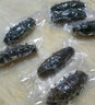 参福元  长岛 冷冻鲜食即食海参 刺参 优选 200g 6-8头/袋 尝鲜装 实拍图