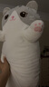捉趣（ZHUOQU）猫咪抱枕公仔毛绒玩具女孩长条玩偶冰丝睡觉夹腿抱枕女生生日礼物 灰色【独立内胆】 110cm 实拍图