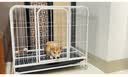 蔻丝狗笼子小型犬中型犬室内家用带厕所分离折叠免安装狗笼子柯基柴犬 加粗特厚方管【62*46*52】柯基  实拍图