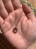 周大福 漫漫星河系列 幻蓝星月项链 一款多戴 18K玫瑰金彩金镶钻石吊坠配项链 U181837 40cm 实拍图