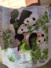 悟客十字绣熊猫简单新款动物图案小幅小件自己绣线绣儿童卧室2023小型 棉线绣 63X52厘米中格三股绣 实拍图
