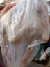 诺斯食美老鸭子土鸭麻鸭农家散养鸭子肉整只 3年老鸭2.5斤 实拍图