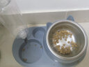 憨憨乐园 猫碗狗碗宠物食盆猫咪双碗粮盆自动饮水机喝水器喂食用品 蓝 实拍图