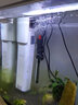 森森（SUNSUN）净水剂水族鱼缸过滤器过滤用净水水质澄清剂 净水灵125ml 实拍图