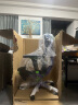 Ergomax Evolution2 PROMAX高迈思人体工学电脑椅网椅家用办公椅子电竞椅 PROMAX版 天使之谜+畅躺架 实拍图