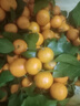 尔蝶广西砂糖橘桔子蜜橘10斤新鲜水果当季薄皮沙糖桔整箱橘子 精选9斤装 净重8.5斤 实拍图