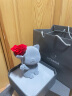 Cat&Rose永生花猫咪礼盒生日礼物送女友表白情人节玫瑰花家居摆件 晒单实拍图