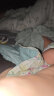 柯斯德尼（kidsneed）婴儿睡袋新生儿纯棉纱布无袖背心宝宝春秋护肚睡衣防踢被四层L码 晒单实拍图
