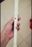 天鹅 竖笛德式高音8孔初学者儿童六孔八孔入门笛子乐器小学生用 白色 实拍图