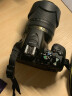 尼康（Nikon） D3500数码单反相机 入门级高清数码家用旅游照相机 单机身(不含镜头) 标配买就送实用大礼包 实拍图