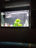 宝贝故事（BABY STORY）生态鱼缸水族箱 玻璃鱼缸客厅家用免换水鱼缸懒人鱼缸一体缸热弯 80长30宽52高鱼缸（黑色/香槟色）+过滤+灯 实拍图