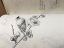花鸟绘 超精致的黑白手绘基础教程 实拍图