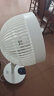 爱丽思（IRIS） 爱丽思空气循环扇落地扇电风扇遥控家用交流电扇空调扇 LFD-22T（12挡风速 360度多方位摇头） 实拍图