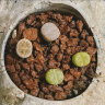 轩林美 一元 植物盆栽 阳台室内盆栽肉肉植物老桩 办公室创意绿植花卉 生石花（单棵0.8-1.2cm) 实拍图