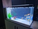 长锐侧滤鱼缸桌面办公室免换水生态水草超白水族箱 K800造景版【长80 宽30 高40】 实拍图
