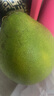 晨木鲜生 泰国青柚新鲜蜜柚 进口大果青皮柚子水果 青柚4个（净重约9-10斤） 实拍图