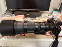 尼康（Nikon） Z 180-600mm f/5.6-6.3 VR 全画幅 长焦轻量化 拍鸟 变焦镜头 实拍图