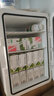夏新Amoi迷你小冰箱mini家用冷冻冷藏学生宿舍租房母乳车载小型冰柜 KS-25L 家用 基础白色仅家用 25L 实拍图