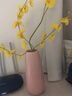 凉笙  ins北欧小清新陶瓷花瓶北欧可插花干花水培装饰品日式简约摆件家用餐桌办公桌装饰品 粉色花瓶 实拍图