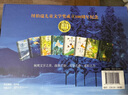 纽伯瑞国际儿童文学金奖小说系列全套8册正版图书 正版中小学生三四五六年级必读课外阅读书籍经典儿童文学读物初一中学生青少年版兔子坡胡桃木小姐彩虹鸽银色大地的传说多伯瑞吹号手的诺荒泉山木头娃娃的百年旅行 实拍图