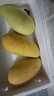 果恋汇（GUOLIANHUI）海南三亚金煌芒新特大芒果新鲜水果当季超大金黄芒整箱批发顺丰 10斤特大果4-6个 实拍图