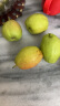 京鲜生 新疆库尔勒香梨5kg 一级 单果100-120g 生鲜水果 实拍图