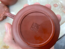 陶云尚（tao Yun Shang） 迷你小紫砂壶 创意宜兴指尖壶茶玩茶宠摆件精品 可养 迷你 【红泥-龙蛋壶】 实拍图