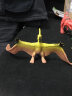 拼拼宝贝  恐龙玩具9只套装模型套装侏罗纪白垩纪霸王龙动物仿真模型男孩3-6岁礼物 晒单实拍图
