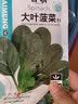 凤鸣雅世耐寒菠菜种子大田农家小叶菠菜阳台菜盆栽菜籽菠菜籽四季蔬菜种子 菠赛冬耐寒菠菜种子200克 实拍图