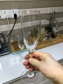 BORMIOLI ROCCO意大利进口无铅水晶玻璃香槟杯高脚杯红酒杯 250mL*2支装 实拍图