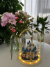 乐高（LEGO）迷你迪士尼城堡40478 50周年限定款 女孩款拼装积木玩具生日礼物 【单拍不发】米奇头玻璃罩 实拍图