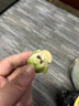绿食者 新鲜孢子甘蓝3-5斤 迷你小包菜 小卷心菜 西餐沙拉食材蔬菜 5斤 实拍图